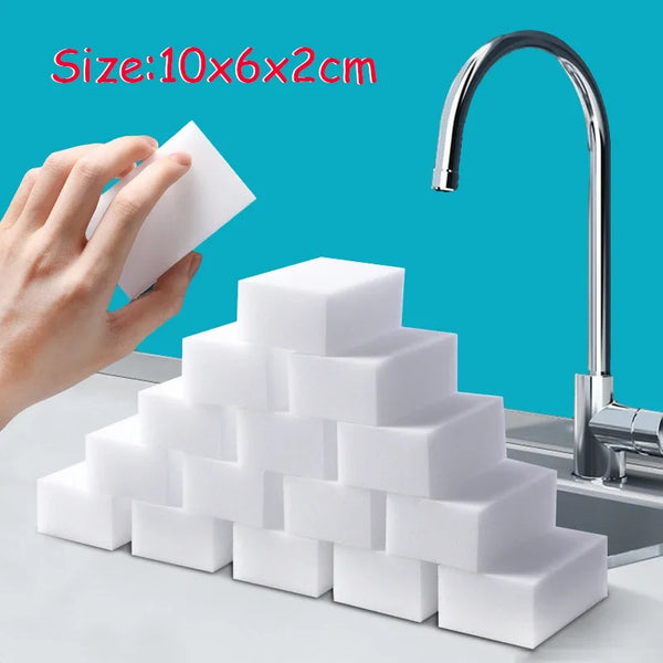 Magic Clean Scrub Sponges